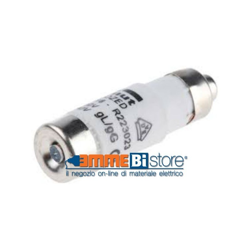 Fusibile in ceramica Neozed tipo D01 a curva rapida 10 A