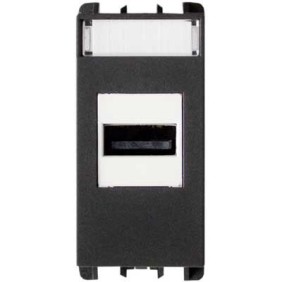 Presa USB 1 modulo Grigio Antracite Nea Urmet 10451