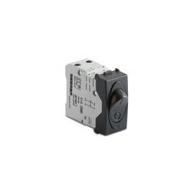 Interrutore automatico Master Modo 31520.10 magnetoterminco 1P+NC 10A,  grigio 