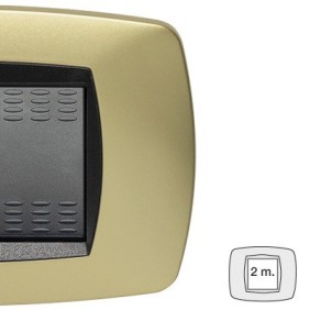 Placca Master Modo Ottone Opaco in tecnopolimero 2 posti 39TC242