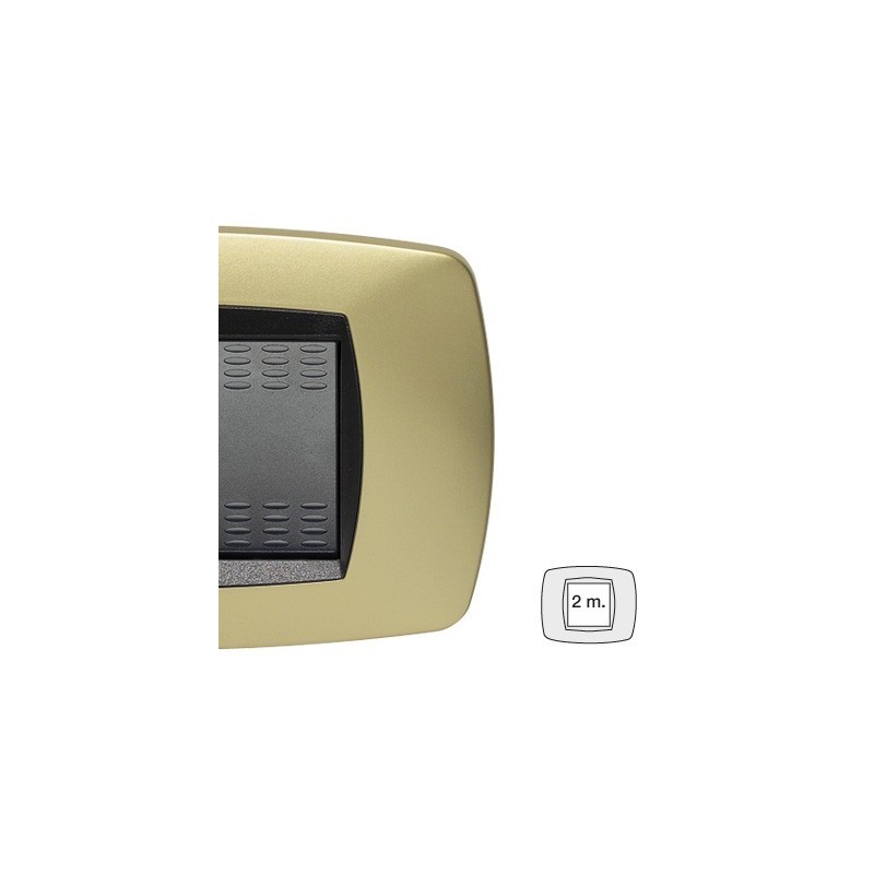 Placca Master Modo Ottone Opaco in tecnopolimero 2 posti 39TC242
