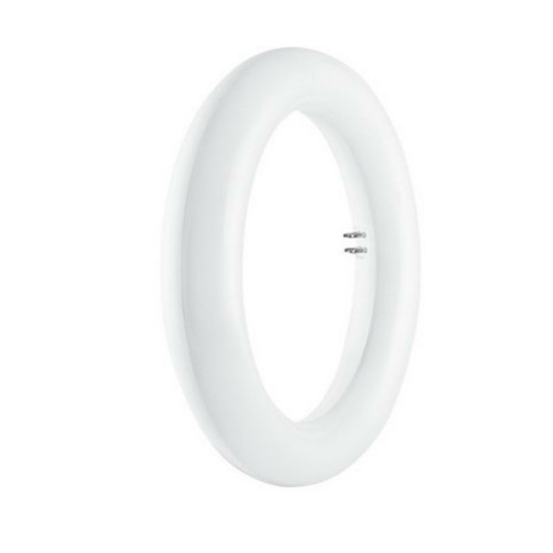 Circolare led Osram 12W 6500K (Luce fredda) Sostituisce la vecchia 22W