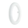 Circolare led Osram 12W 6500K (Luce fredda) Sostituisce la vecchia 22W
