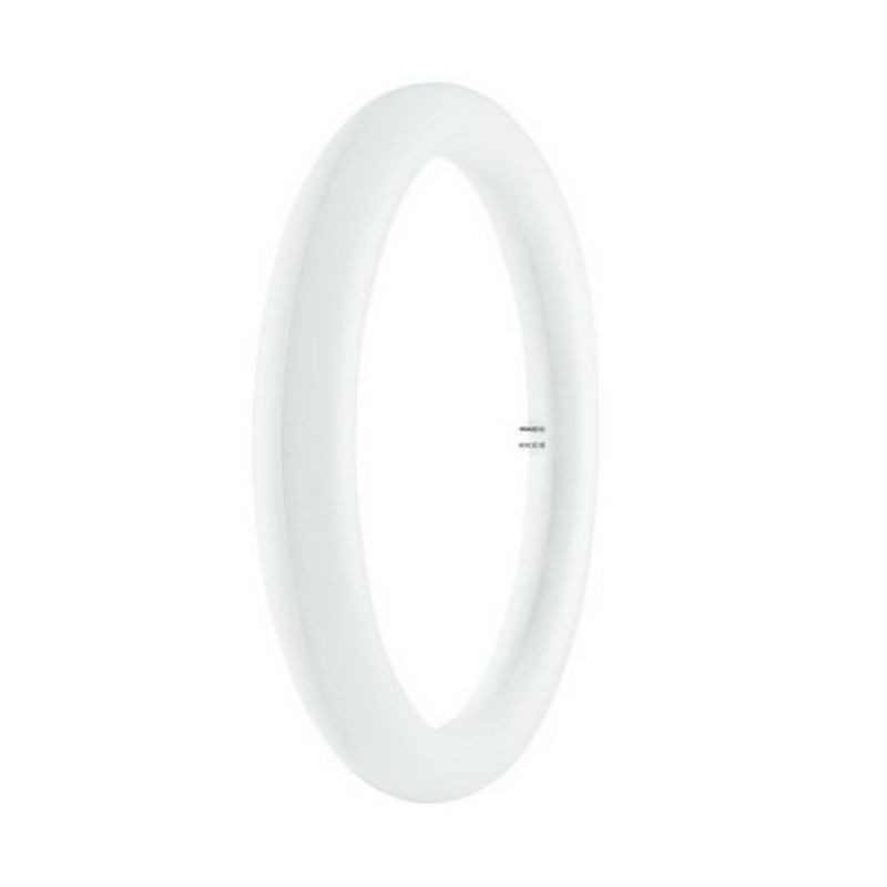 Circolare led Osram 20W 6500K (Luce fredda) Sostituisce la vecchia 32W