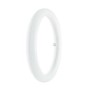 Circolare led Osram 20W 6500K (Luce fredda) Sostituisce la vecchia 32W