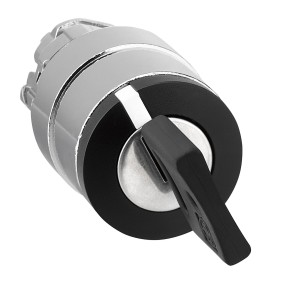 Testa Selettore a Chiave due posizioni con chiave N.451 Schneider ZB4BG2