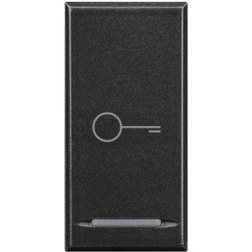 Copritasto 1 Funzione Simbolo 'Chiave' Serie Civili Bticino Axolute Scura HS4915BD