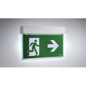 Lampada d'emergenza a Bandiera Led Exiway Easysign Schneider OVA38250