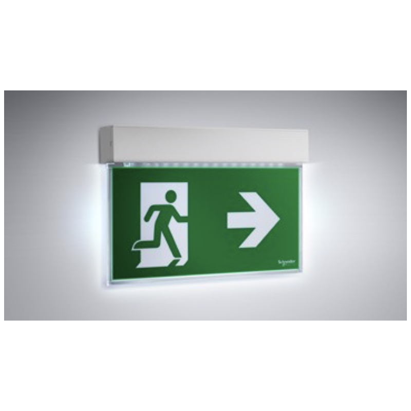 Lampada d'emergenza a Bandiera Led Exiway Easysign Schneider OVA38250