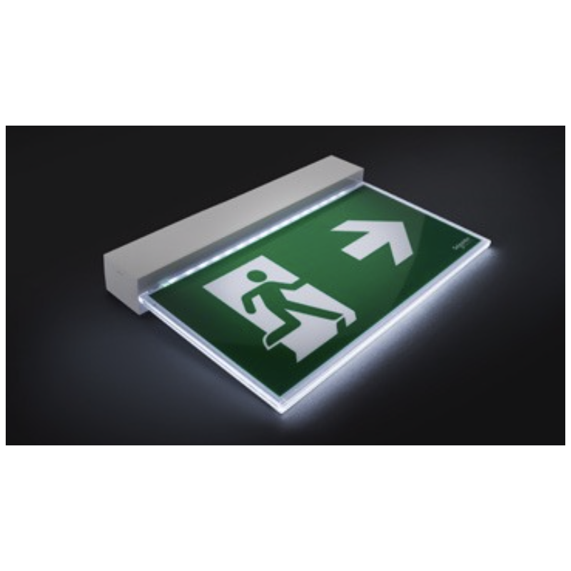 Lampada d'emergenza a Bandiera Led Exiway Easysign Schneider OVA38250