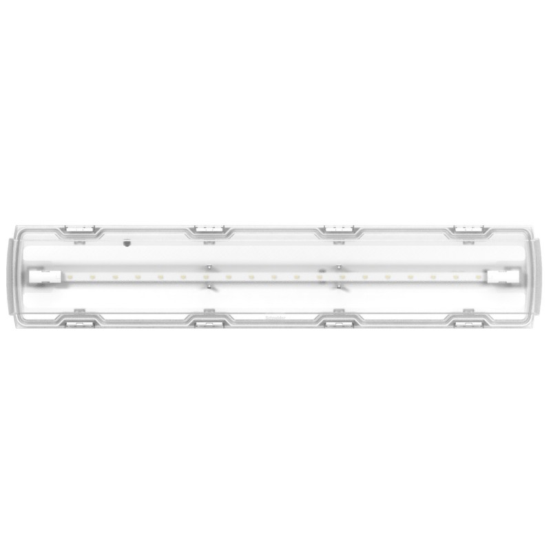Lampada d'emergenza Led 18W Rilux IP65 Schneider OVA39567