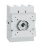 Sezionatore Tripolare 125A senza maniglia Lovato GA0125C