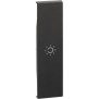 Cover con Simbolo Luce Nero Bticino Living Now KG01A