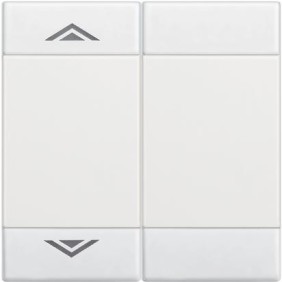 Copritasto 2 Funzioni con frecce Bticino LivingLight N4911M2AHN
