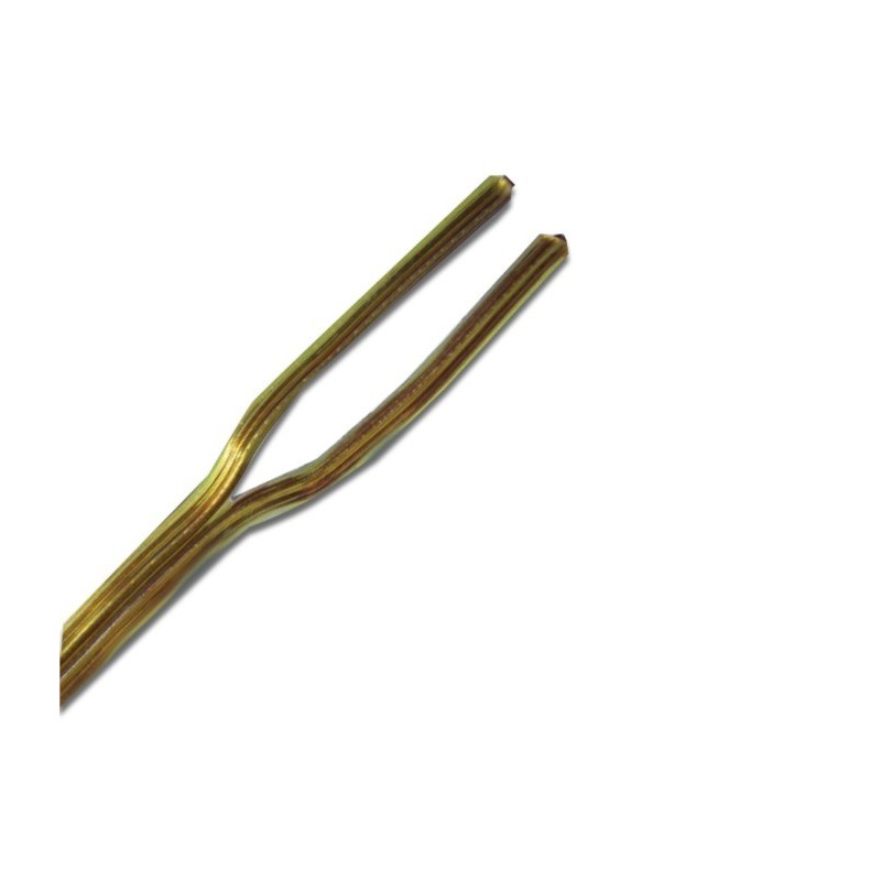 CAVO PIATTINA COSTA STRETTA 2X0,50 ORO