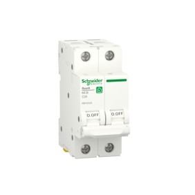 Magnetotermico Resi9 2 Poli 25A 4,5KA Curva C 2 Moduli Schneider R9F32225