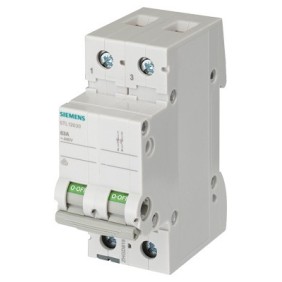 Interruttore Sezionatore 63A 2 Poli 2 Moduli Leva Grigia Siemens 5TL12630