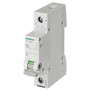 Interruttore Sezionatore 32A 1 Polo 1 Modulo Leva Grigia Siemens 5TL11320