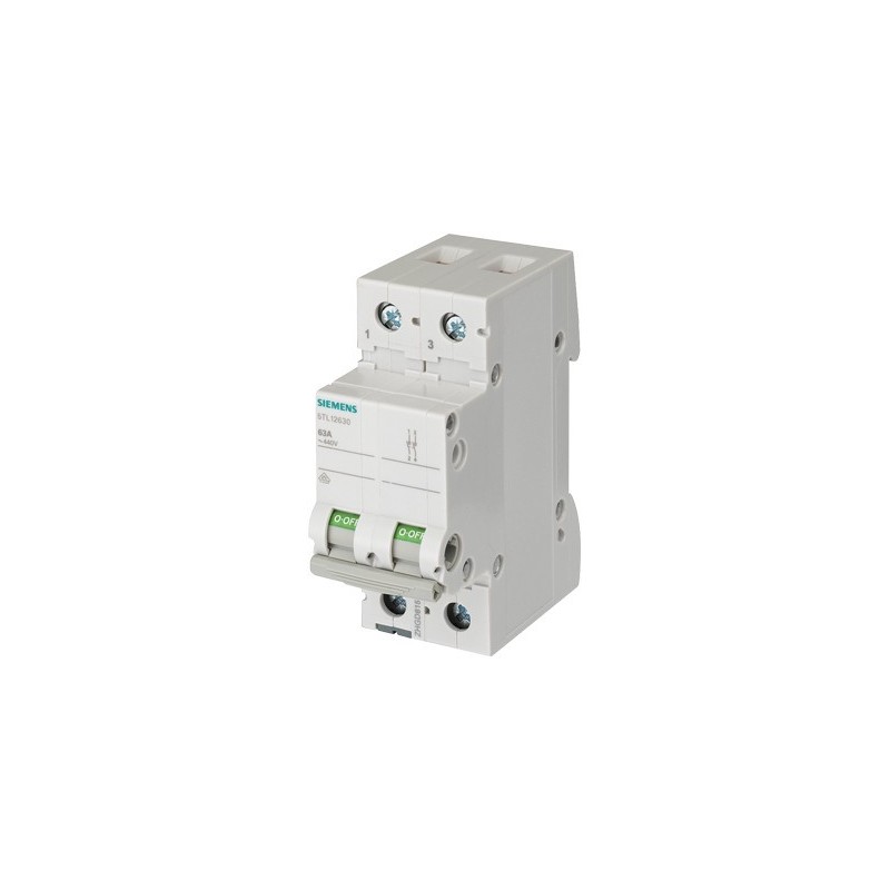 Interruttore Sezionatore 32A 2 Poli 2 Moduli Leva Grigia Siemens 5TL12320