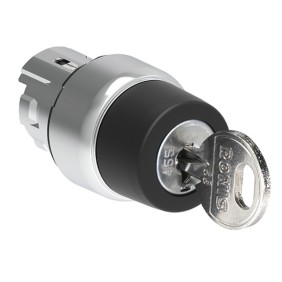 Selettore a chiave da pannello 2 Posizioni Serie Platinum Lovato LPSS320