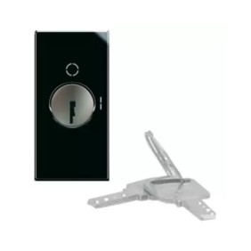 Interruttore a chiave 2P NA 10A codifica casuale 1 modulo ave life 442071