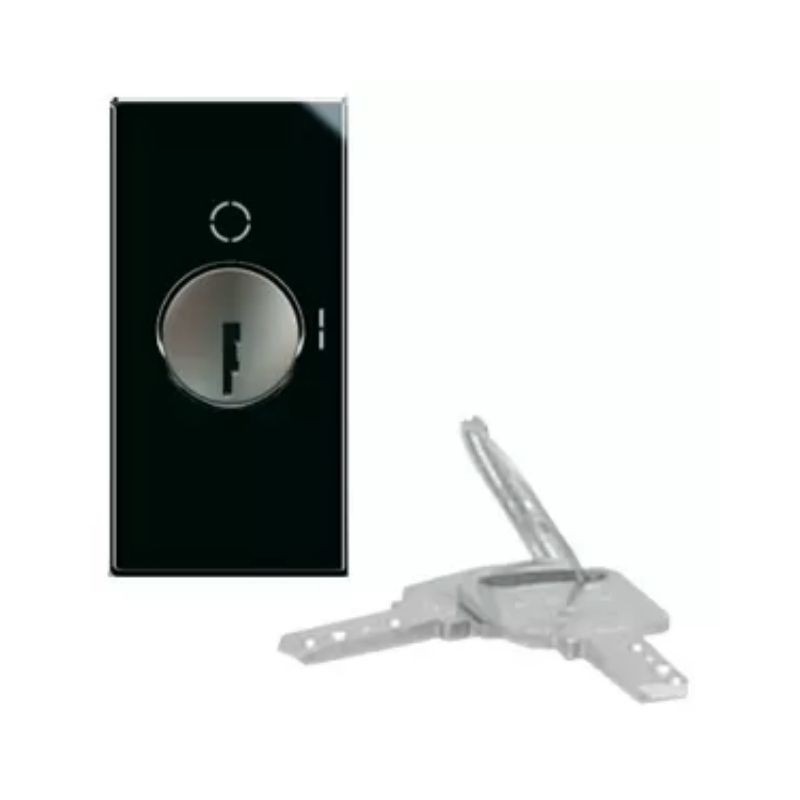 Interruttore a chiave 2P NA 10A codifica casuale 1 modulo ave life 442071