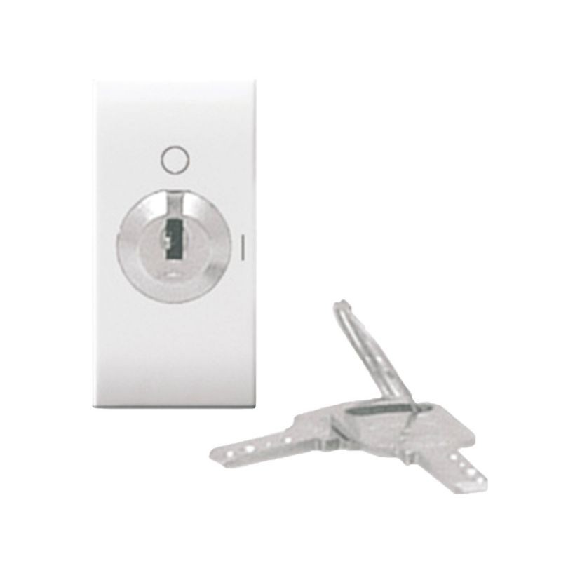 Interruttore bipolare Ave 10A a chiave unificata 441071MC