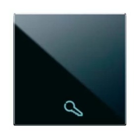 Tasto intercambiabile simbolo CHIAVE illuminabile 2 moduli 442TKP/2