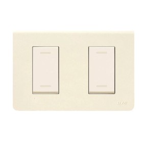 Placca in tecnopolimero Blanc Sistema 45  Bianco Blanc 2 moduli AVE 45P62