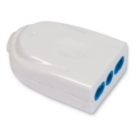Presa dritta bipolare 2P+T 16A bianca Fanton 82570-E