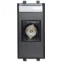 Presa con porta coassiale TV satellitare 1 modulo Ave 445096IF