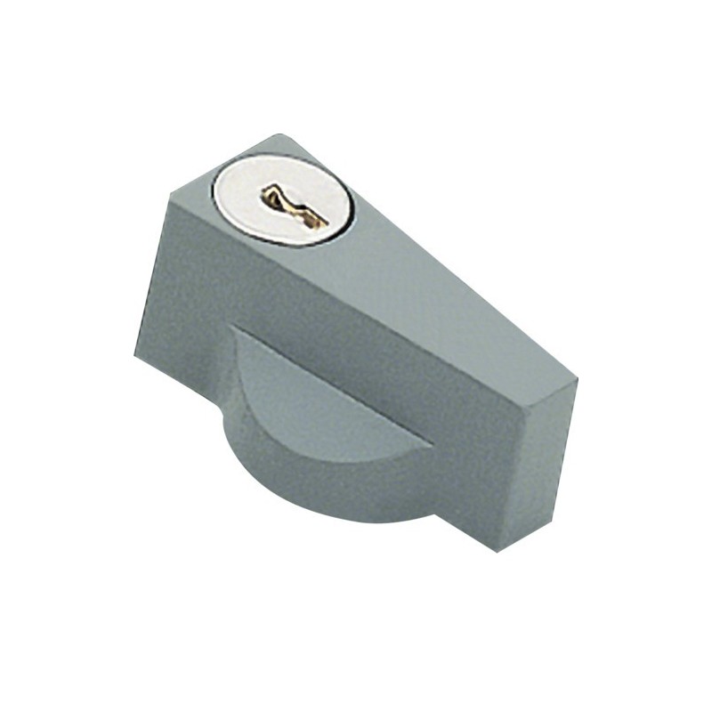 Maniglia a chiave per inserti per porte Orion Plus Hager FL96Z