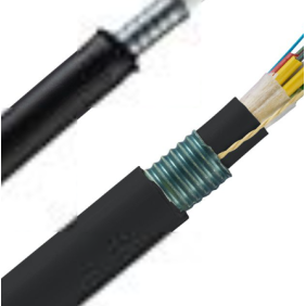 Cavo in fibra ottica armato Opti-core OS2 12 9/125 Panduit FPSN912