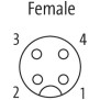 Struttura interna Connettore M12 4 poli femmina 4x0.34mmq curva 90 gradi Murr Elektronik 7000123416141000