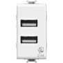Caricatore USB 2.4 A Tipo A adatto per BTicino Matix 4BOX 4B.AM.USB.24