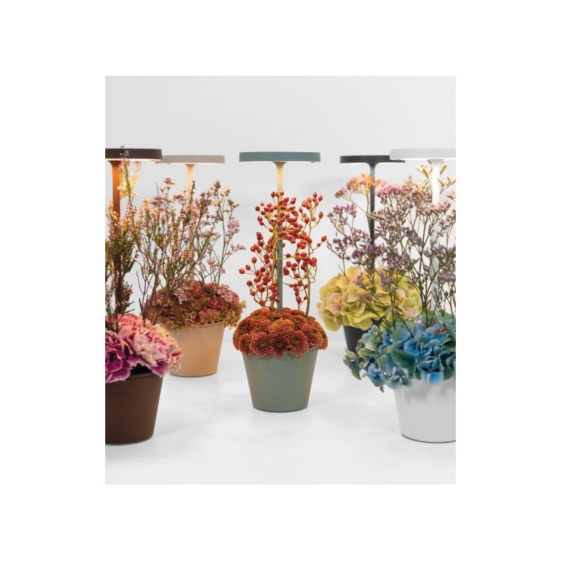 Poldina Reverso applicazione