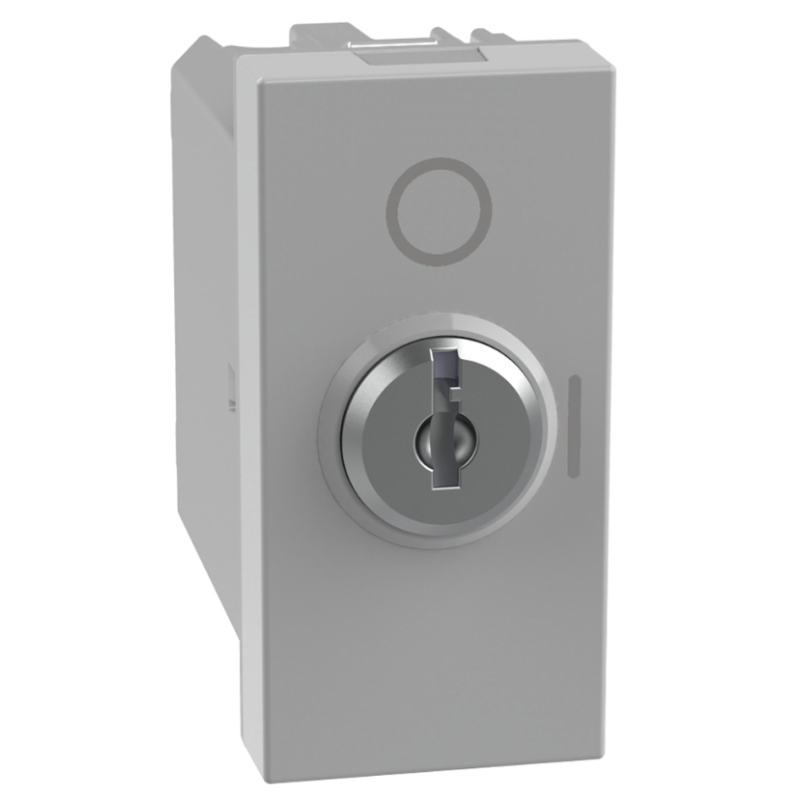 Interruttore bipolare a chiave Grigio 10AX serie MatixGo BTICINO JG4012