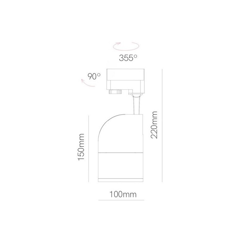 Beneito 4986 dimensioni