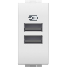 Caricatore Bianco con 2 porte USB tipo A 15W 5V DC 220-240V AC LivingLight BTicino N4191AA
