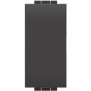 Doppio pulsante 10A 230V Antracite BTicino Living international L4036N