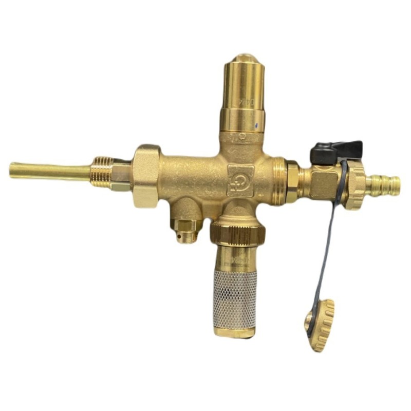 Kit di protezione antigelo per caldaie Exogel CHAFFOTEAUX 3319687