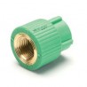 Giunto filettato femmina 25mm per 3/4" Aquatherm 1070025005