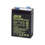 Batteria al Piombo Ricaricabile SKB 38620307