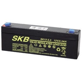Batteria al Piombo Ricaricabile 12V SKB 38640205